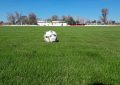 Postales de un campo impecable: así quedó el césped del Parque Rojo tras los trabajos de resembrado