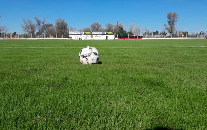 Postales de un campo impecable: así quedó el césped del Parque Rojo tras los trabajos de resembrado