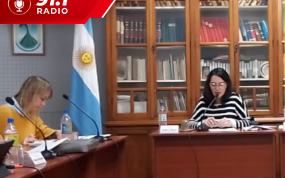 Realicó: aprobaron por unanimidad la instalación de señalética para la carga y descarga de mercaderías