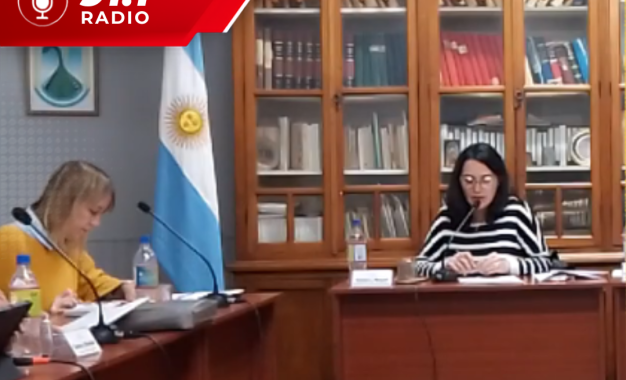 Realicó: aprobaron por unanimidad la instalación de señalética para la carga y descarga de mercaderías
