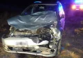 Milagro en la Ruta 101: una pareja chocó a un vacuno al norte de Falucho