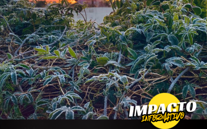 Alerta meteorológica en La Pampa: la «bomba de frío polar» congela a la provincia y se registran fuertes heladas