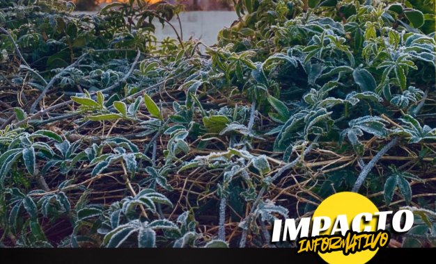 Alerta meteorológica en La Pampa: la «bomba de frío polar» congela a la provincia y se registran fuertes heladas