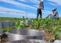 Eficiencia en el uso del agua: INTA y el Gobierno presentaron un módulo clave para valles irrigados