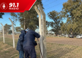 Trabajos y mejoras permanentes en el Parque Recreativo Municipal de Realicó