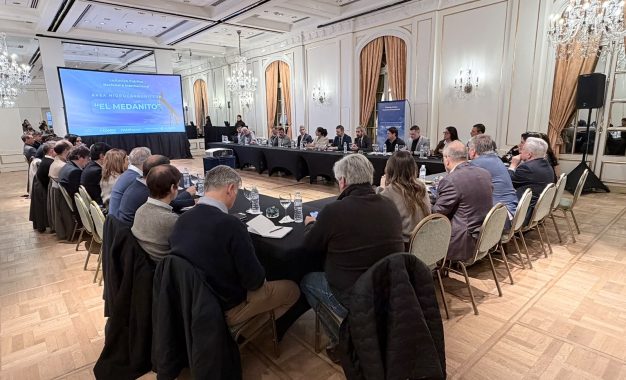 El Medanito despertó interés empresario y la licitación ganó repercusión nacional