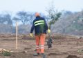 SANTA ROSA – El municipio plantó más de 600 árboles en el Relleno Sanitario