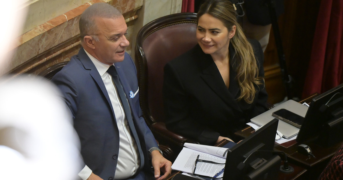 la-interna-misionera-suma-tension-a-la-ley-de-venta-de-tierras-a-extranjeros-en-el-senado