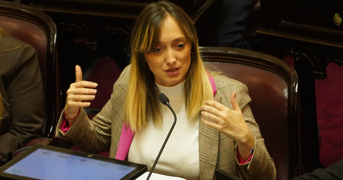 anabel-fernandez-sagasti-pide-participar-virtualmente-de-la-sesion-por-la-ley-de-tierras-por-su-avanzado-embarazo