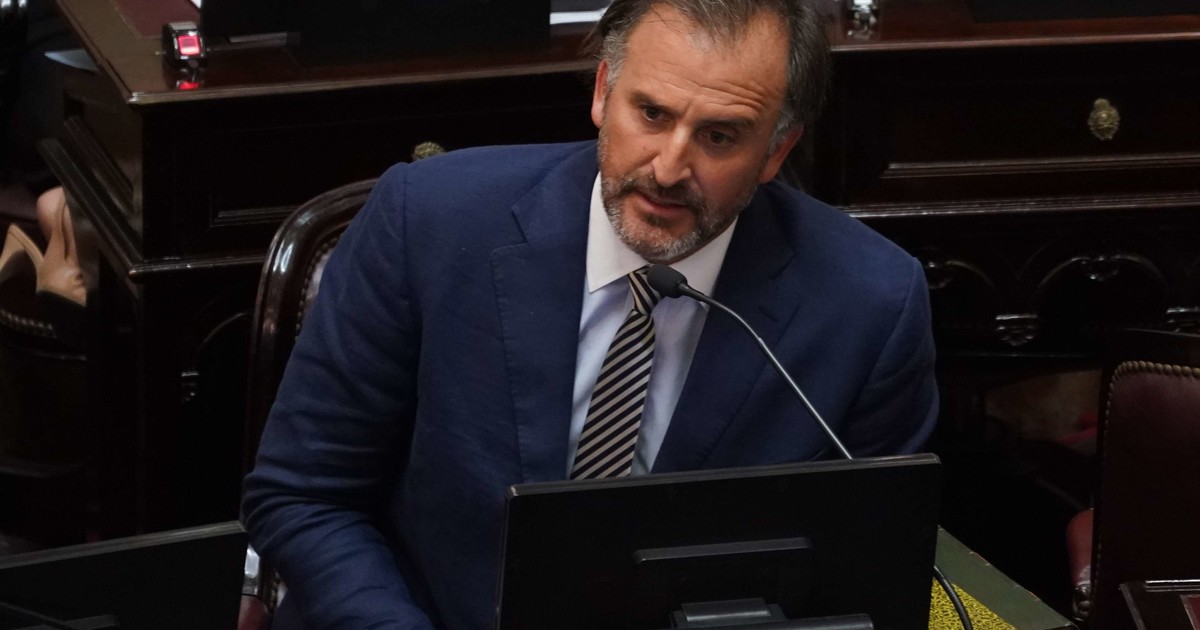 la-contundente-respuesta-de-benegas-lynch-a-una-senadora-k-que-quiso-sacarlo-del-debate-de-la-ley-de-tierras-por-tener-una-empresa-que-vende-campos-a-extranjeros