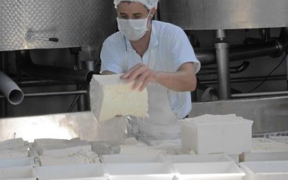 Ranking de la industria láctea: 5 empresas concentran el 36% de la producción, las cooperativas apenas el 3% y hay firmas que ya no participan del mercado