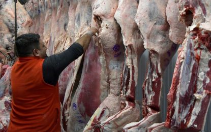 Las exportaciones de carne vacuna crecieron 42% en valor en los primeros siete meses del año