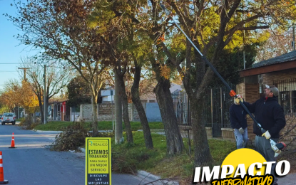 Finalizó la temporada de poda del arbolado urbano en Realicó: qué se puede hacer y cómo solicitar autorizaciones