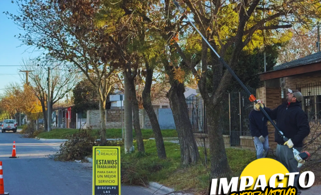 Finalizó la temporada de poda del arbolado urbano en Realicó: qué se puede hacer y cómo solicitar autorizaciones