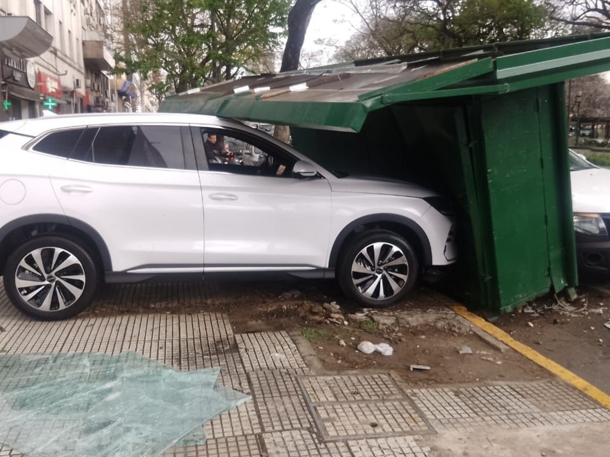 Cómo son los seguros con los autos eléctricos e híbridos