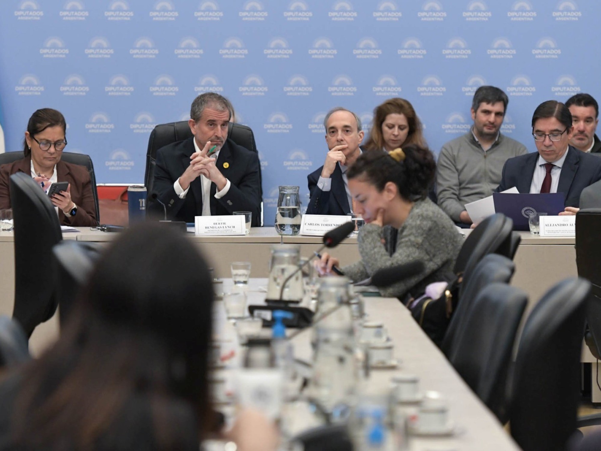El secretario de Educación, Carlos Torrendell, en la comisión de Presupuesto