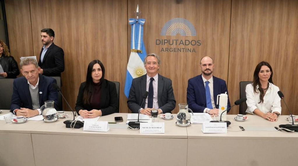 El oficialismo aceptó restituir las restricciones de la venta de tierras a extranjeros para garantizar la aprobación del proyecto sobre propiedad privada